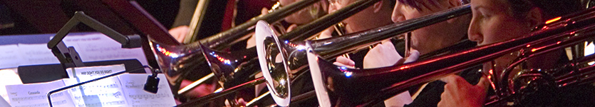 swojo banner